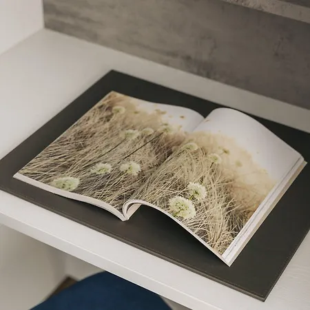 Homaris East Side 3* Βερολίνο